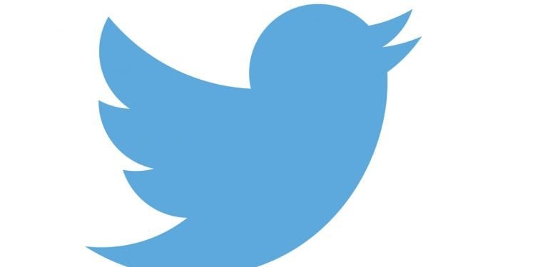Why the Bird in the Twitter Logo?