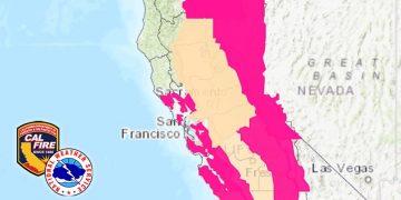 Why the Red Flags on Twitter Are So High