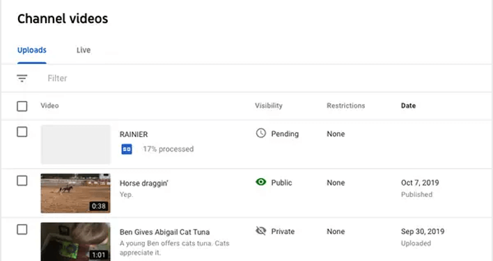 YouTube – Why is My Video Taking So Long to Process?