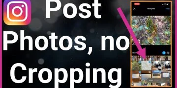 Come pubblicare più foto su Instagram Senza ritagliare: la guida definitiva
