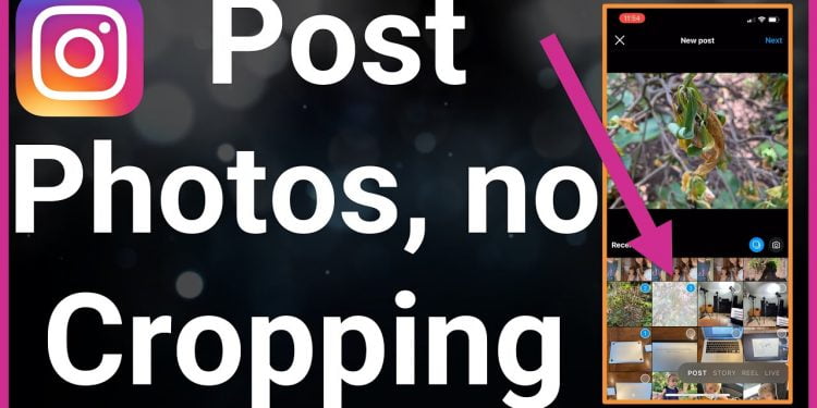 How to Post Multiple Photos on Instagram Without Cropping – The Ultimate Guide