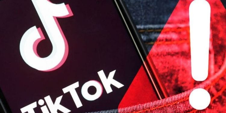 TikTok Ad Audience Hits 1.8 Billion